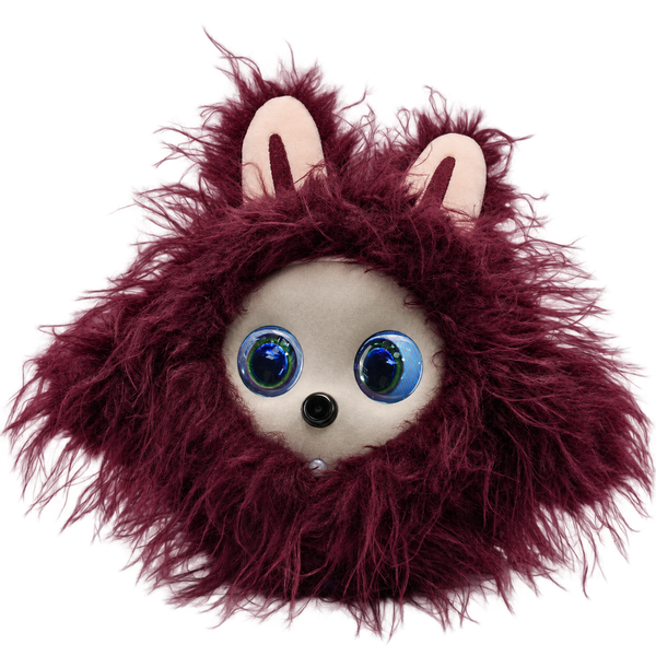 Burgundy Curl / Gray Face