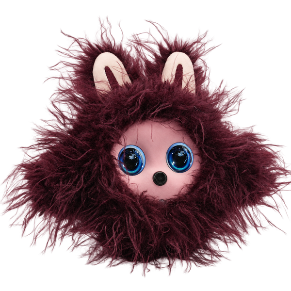 Burgundy Curl / Pink Face