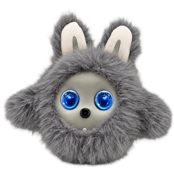 Gray / Gray Face
